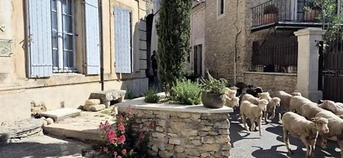 Chambres D'Hotes Le Relais Des Marmottes En Luberon Lagnes Ngoại thất bức ảnh